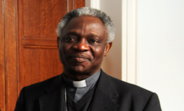 Il card. Turkson: bisogna educare a comprendere che le persone LGBT 